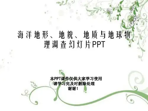 海洋地形、地貌、地质与地球物理调查幻灯片PPT