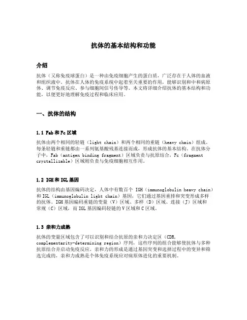 抗体的基本结构和功能