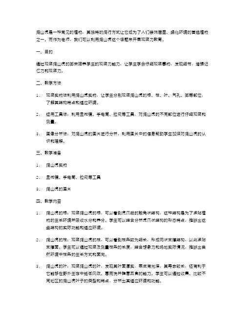 爬山虎的脚教案：培养学生观察力