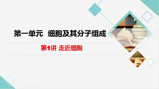 第1讲 走近细胞 课件-高中生物人教版必修1
