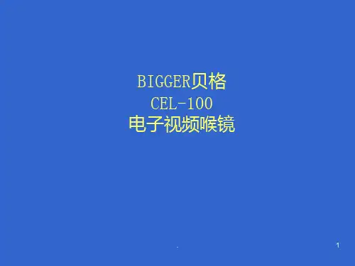 喉镜PPT课件
