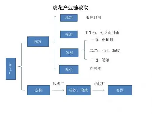 棉花期货PPT