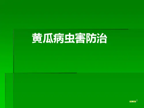 黄瓜病虫害PPT课件