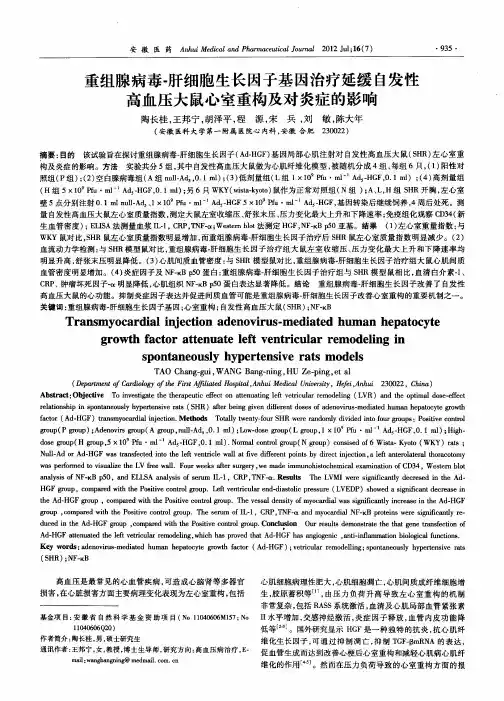 重组腺病毒-肝细胞生长因子基因治疗延缓自发性高血压大鼠心室重构及对炎症的影响