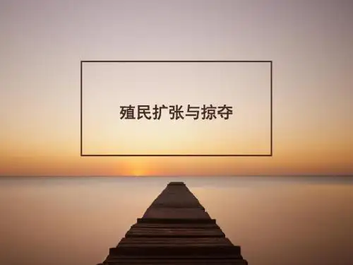 北师大版高中历史必修2课件 殖民扩张与掠夺课件2