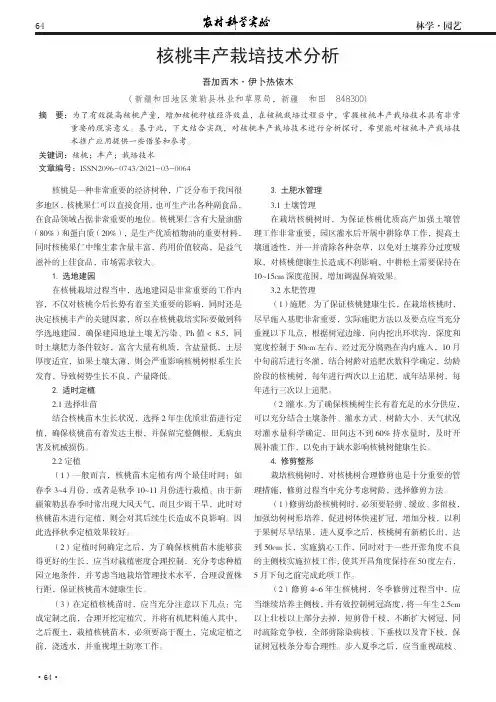 核桃丰产栽培技术分析