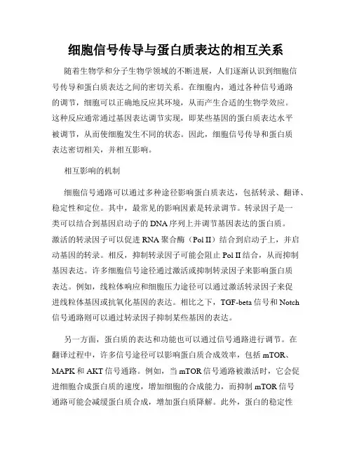 细胞信号传导与蛋白质表达的相互关系