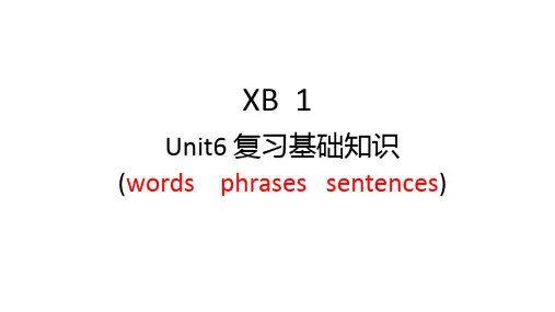 Unit+6+Nurturing+Nature+基础知识复习课件外研版(2019)选择性必修第一册