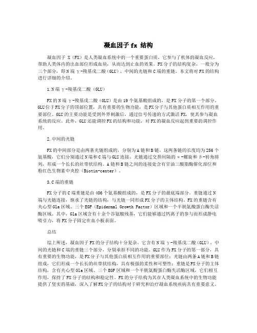 凝血因子fx 结构