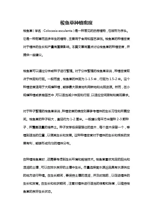梭鱼草种植密度