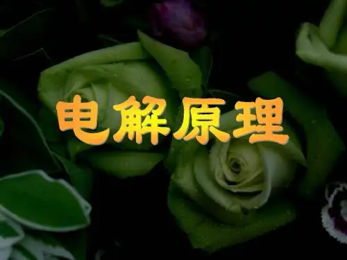 选修4 第四章 第三节 电解原理