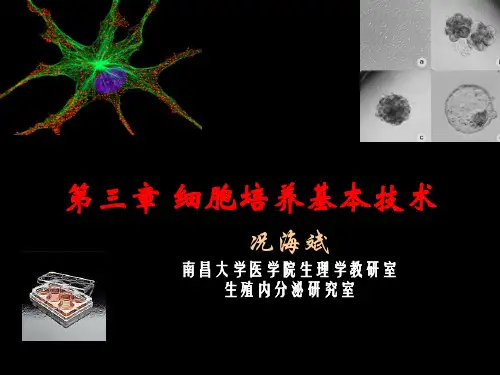细胞培养基本技术ppt课件