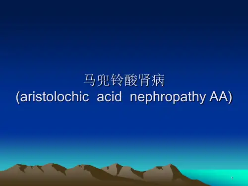 马兜铃酸肾病ppt课件