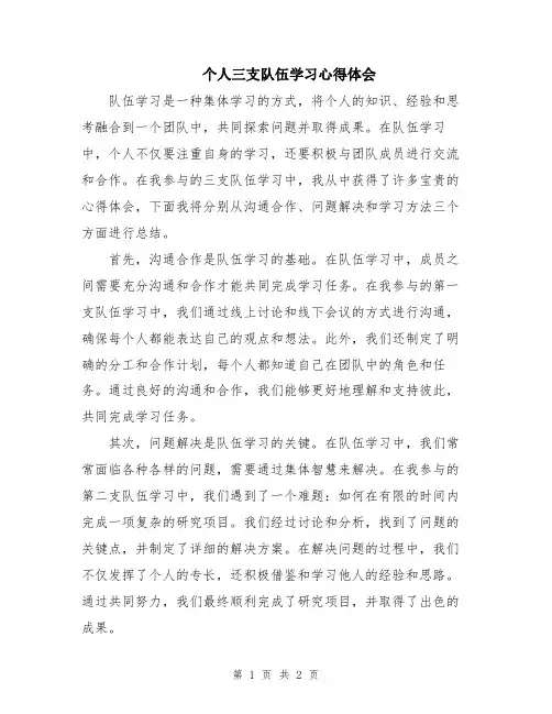个人三支队伍学习心得体会
