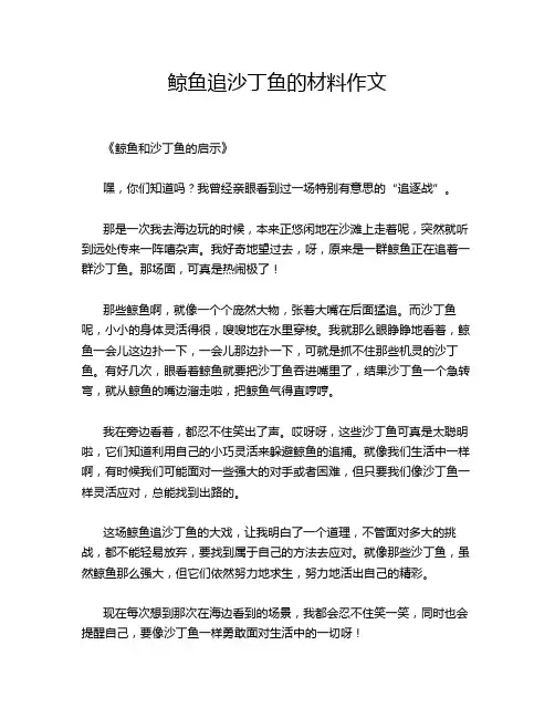 鲸鱼追沙丁鱼的材料作文