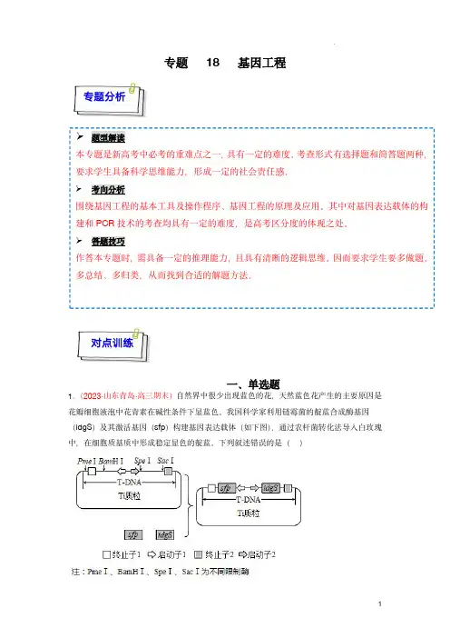 2024年高考生物一轮复习重难点训练(新教材)：专题18 基因工程(解析版)