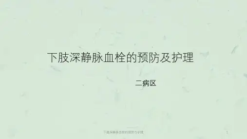 下肢深静脉血栓的预防与护理课件