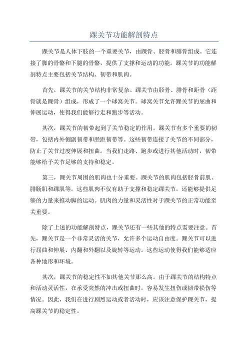 踝关节功能解剖特点