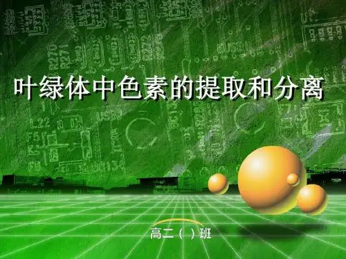 叶绿体中色素的提取和分离 PPT课件1 人教版