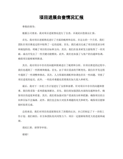 项目进展自查情况汇报