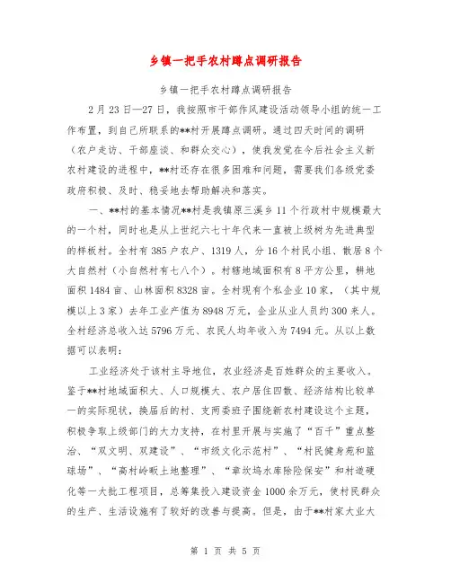 乡镇一把手农村蹲点调研报告【可编辑版】