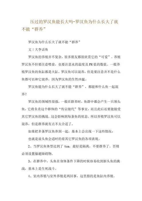 压过的罗汉鱼能长大吗-罗汉鱼为什么长大了就不能“群养”