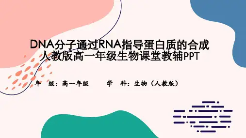 DNA分子通过RNA指导蛋白质的合成人教版高一年级生物课堂教辅PPT