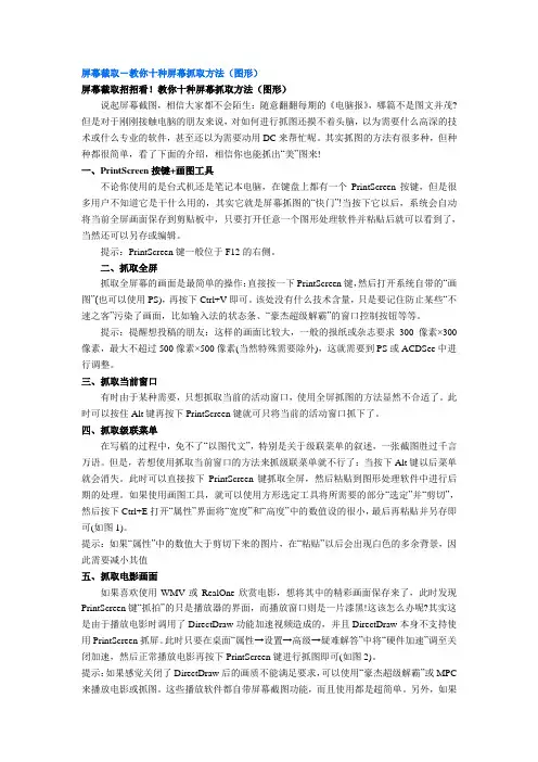 屏幕截取-十种屏幕抓取方法(图形)