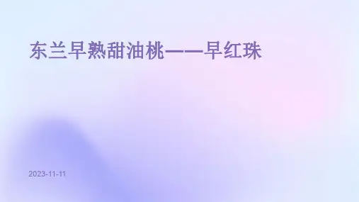 东兰早熟甜油桃――早红珠