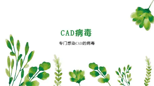 CAD病毒 