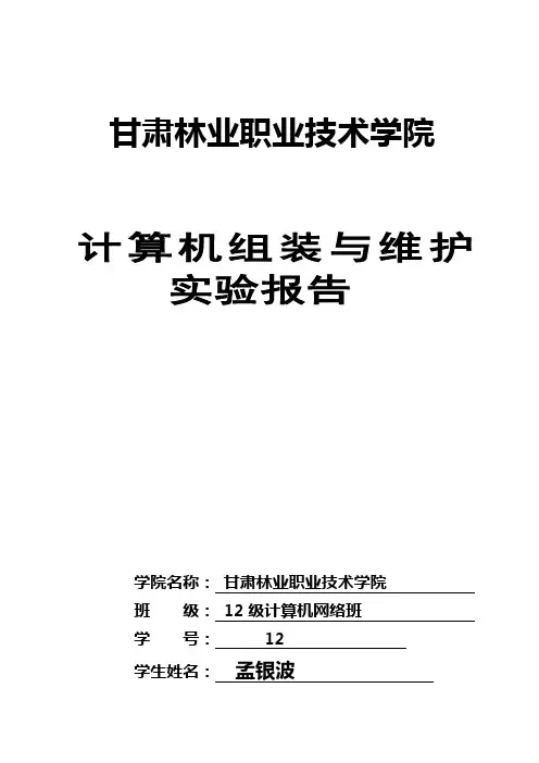计算机组装与维护实训报告与总结