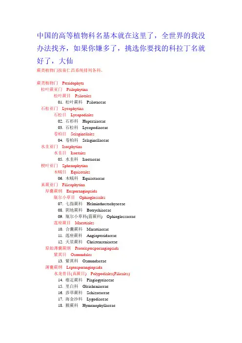 中国高等植物科名t