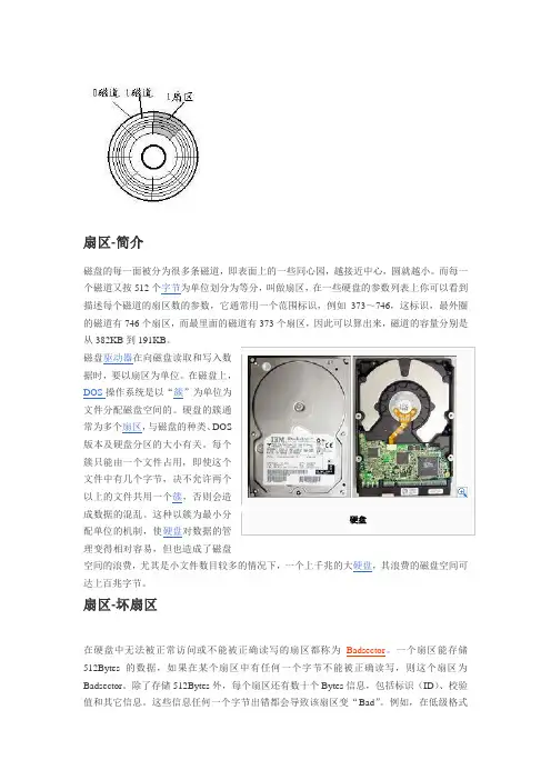 扇区