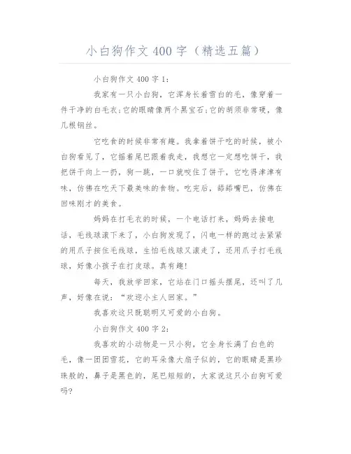 小白狗作文400字(精选五篇)