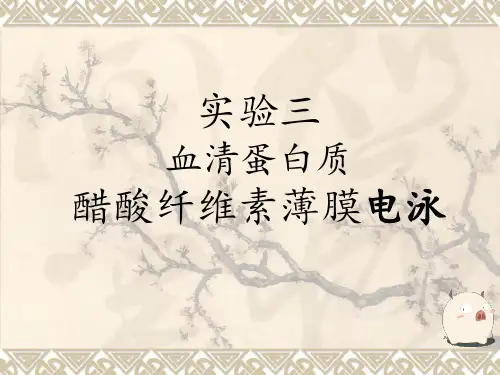 实验三、血清蛋白质醋酸纤维素薄膜电泳
