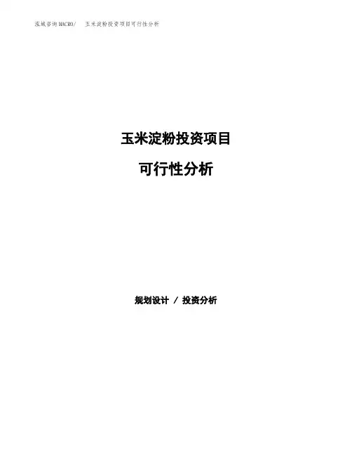 玉米淀粉投资项目可行性分析