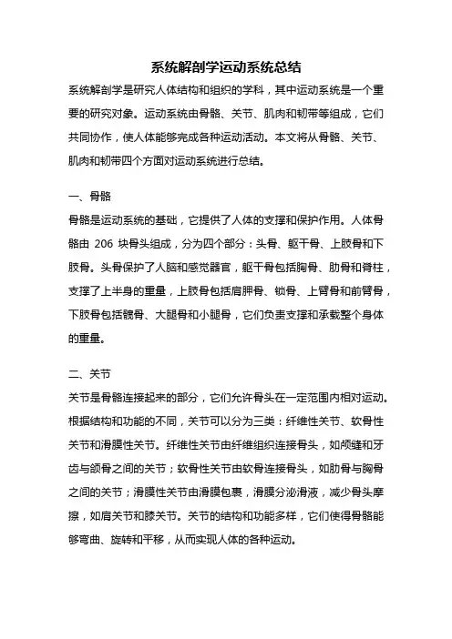 系统解剖学运动系统总结