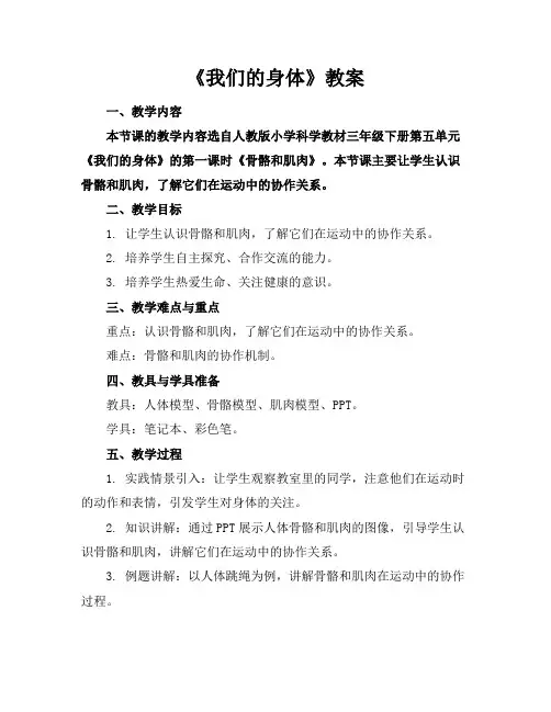 《我们的身体》教案