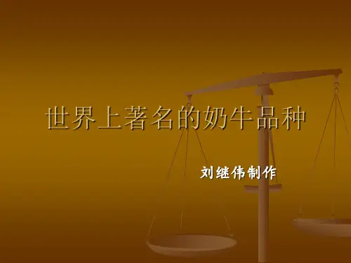常见的六个奶牛品种