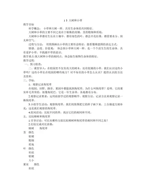 大树和小草