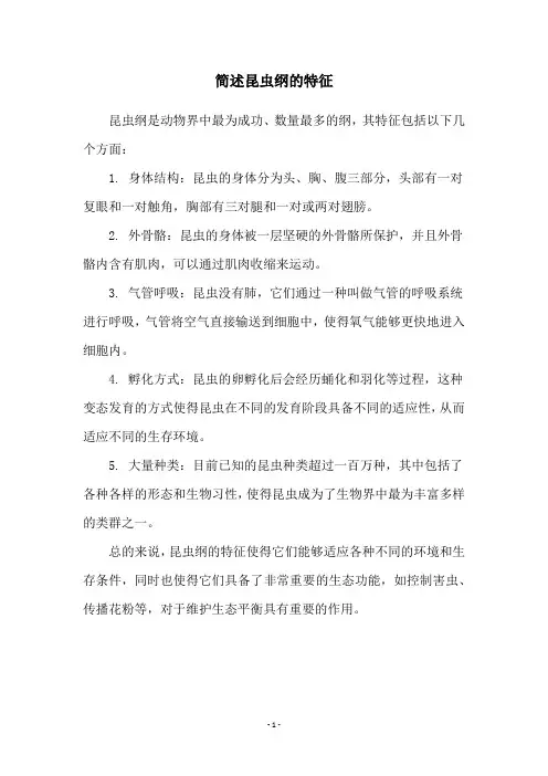 简述昆虫纲的特征