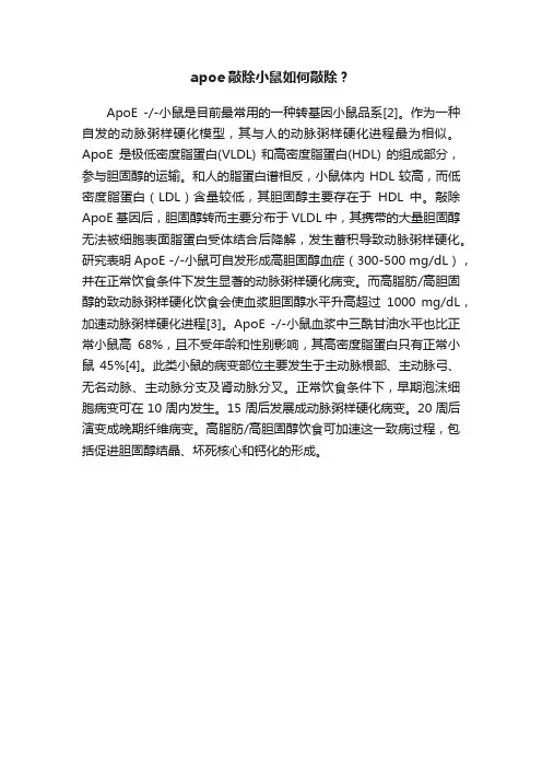 apoe敲除小鼠如何敲除？
