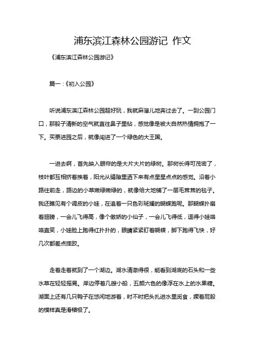 浦东滨江森林公园游记 作文