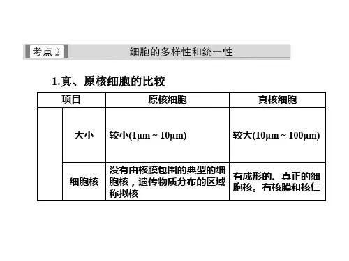 高中生物必修一 第一章复习课件