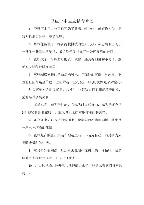 昆虫记中虫虫精彩片段