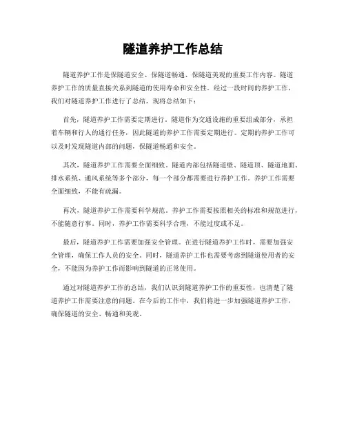 隧道养护工作总结
