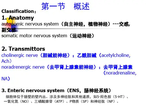 第5章   传出神经系统药理概论_PPT幻灯片