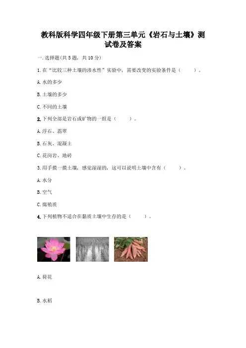教科版科学四年级下册第三单元《岩石与土壤》测试卷附参考答案(黄金题型)
