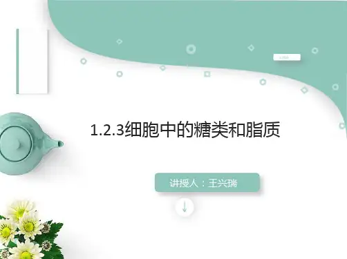 人教版生物必修一1.2.3细胞中的糖类和脂质(共36张PPT)