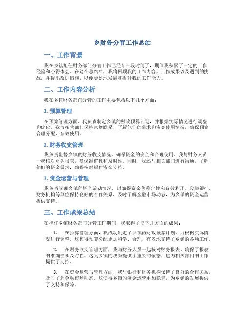 乡财务分管工作总结